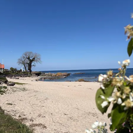 Lovely Near Centre Apartamento Allinge-Sandvig